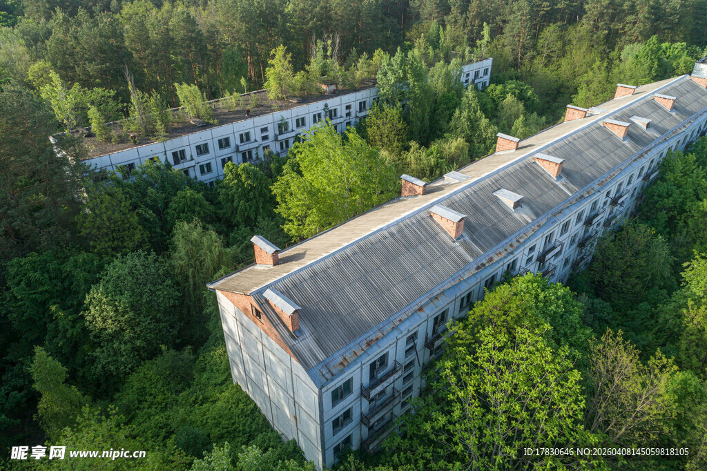 森林中的废弃建筑群