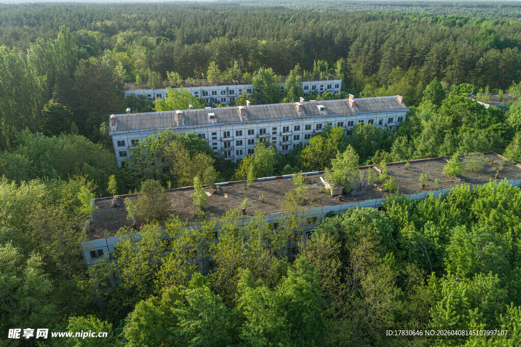 森林环绕的多层建筑