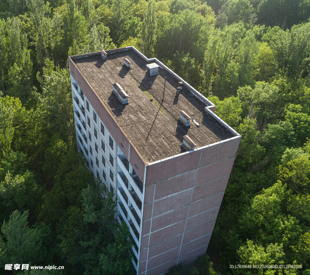 高楼矗立在葱郁树林间