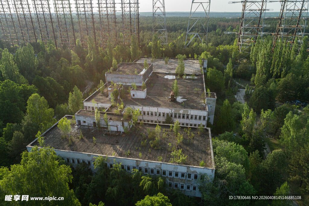 废弃建筑隐于葱郁森林中
