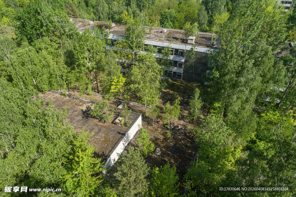 林中建筑俯瞰图