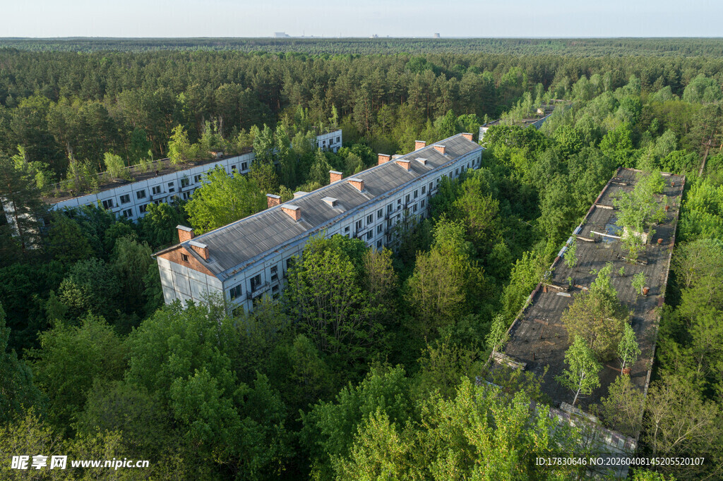 森林中的废弃建筑群