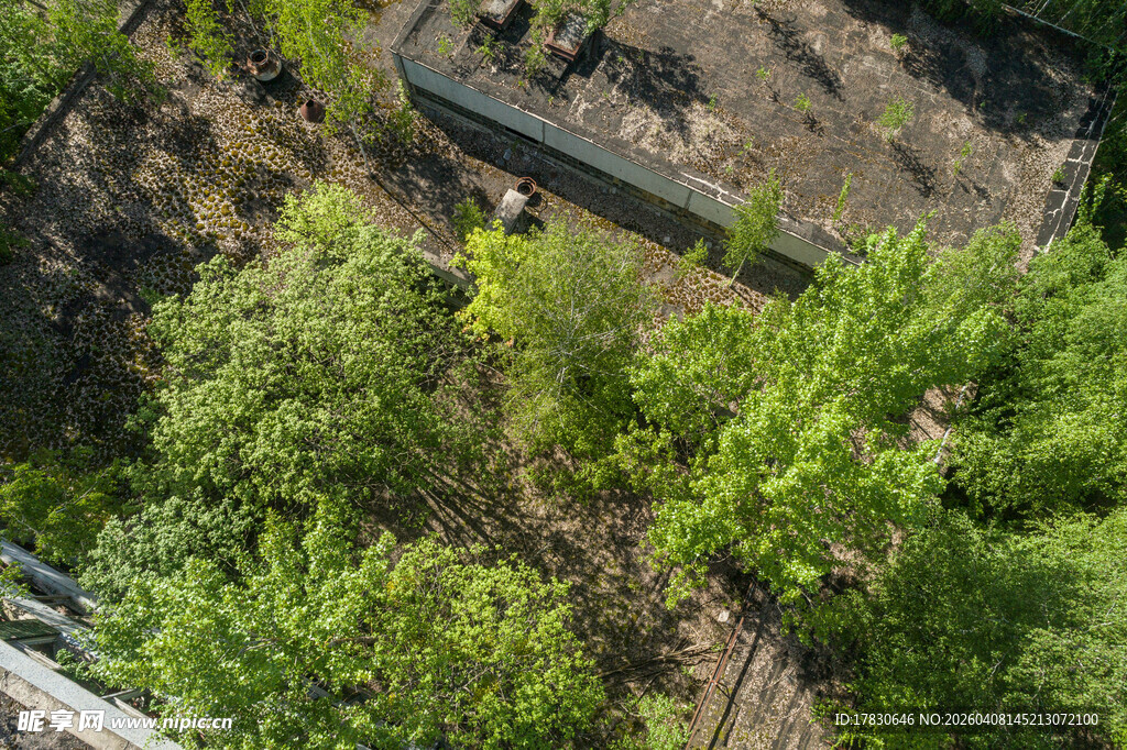 俯瞰葱郁绿植景观
