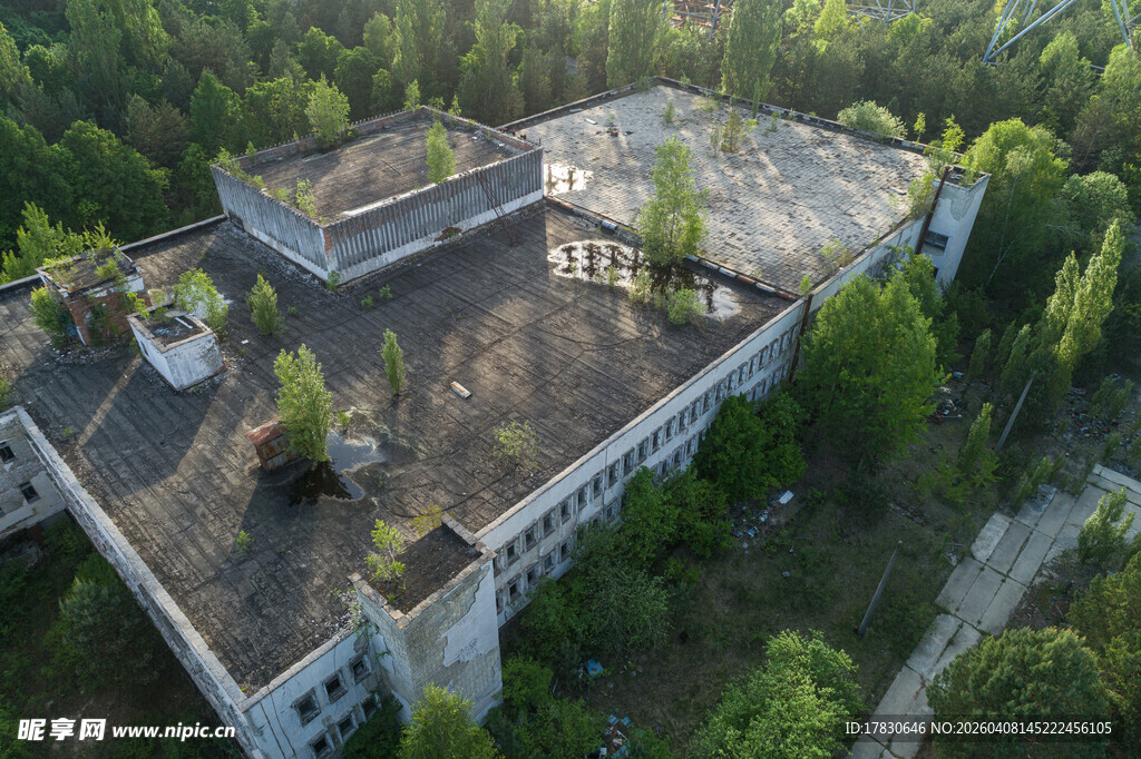 废弃建筑被绿植环绕