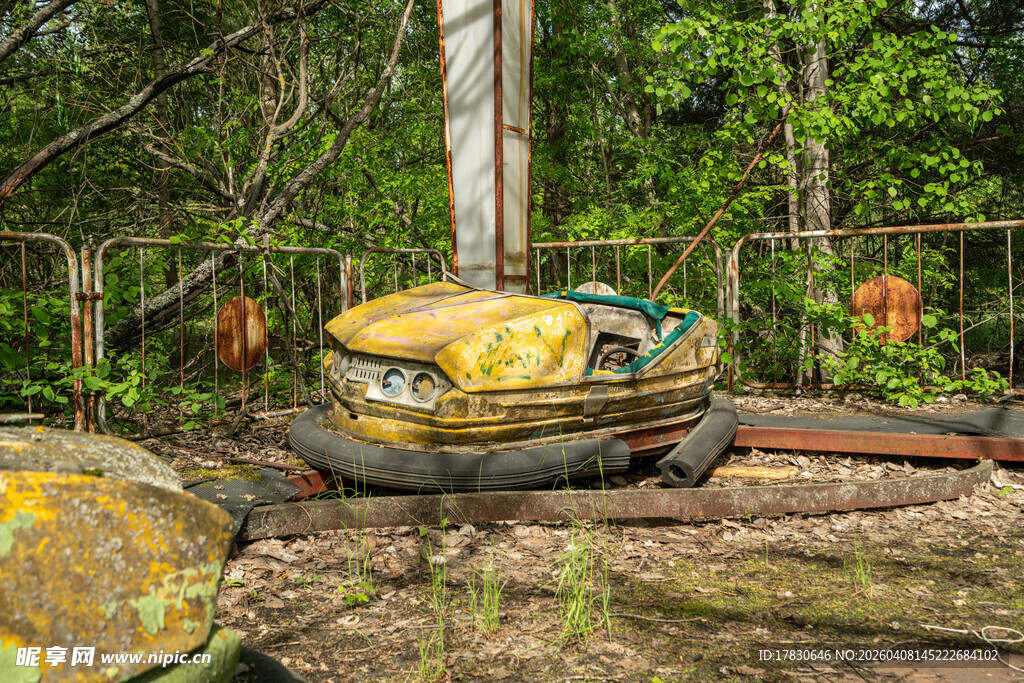 废弃轮胎置于绿植环绕处