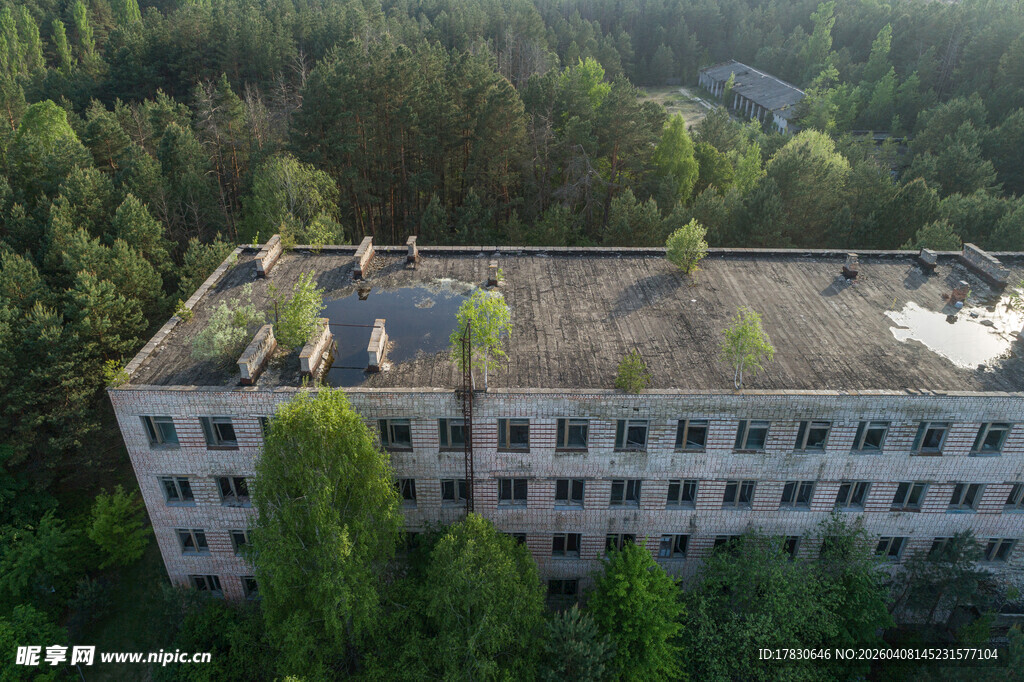 废弃楼房被绿植环绕