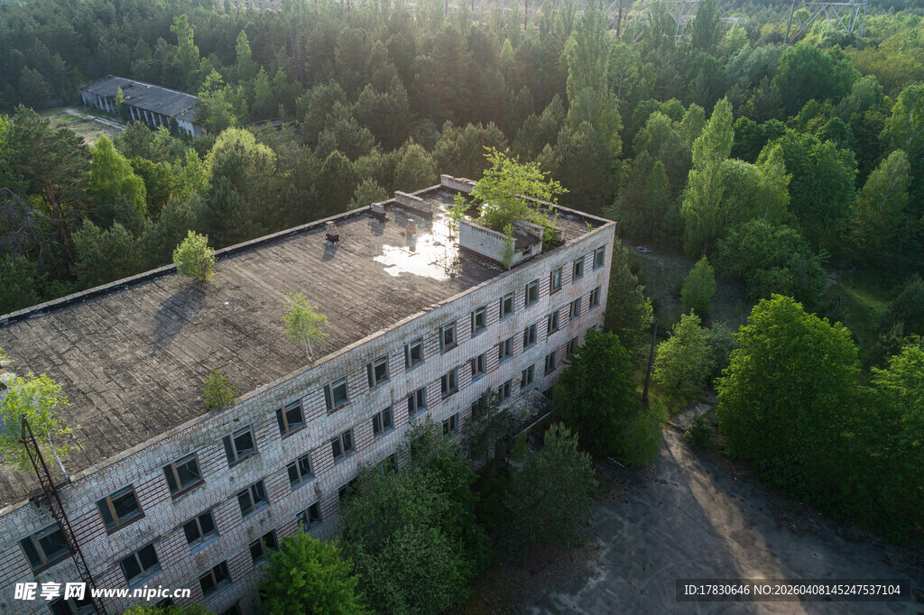 废弃工厂被绿植环绕