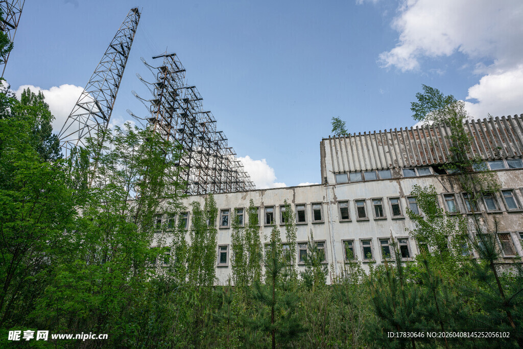 废弃建筑隐于繁茂树林中