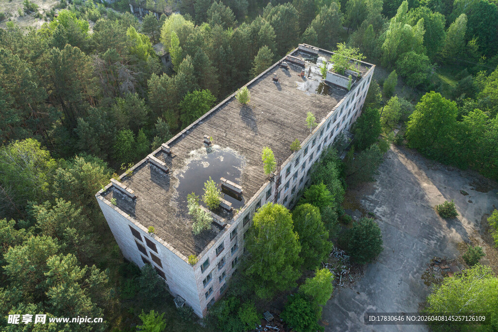 森林中的废弃多层建筑