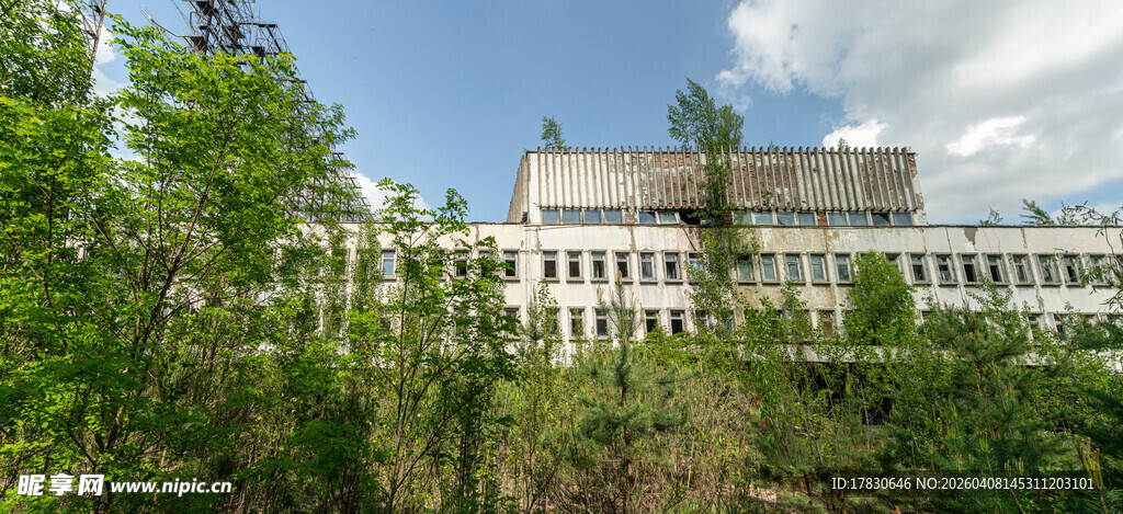 绿树环绕的现代建筑