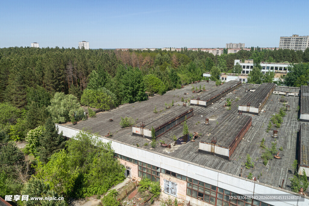 鸟瞰绿树环绕的工业建筑