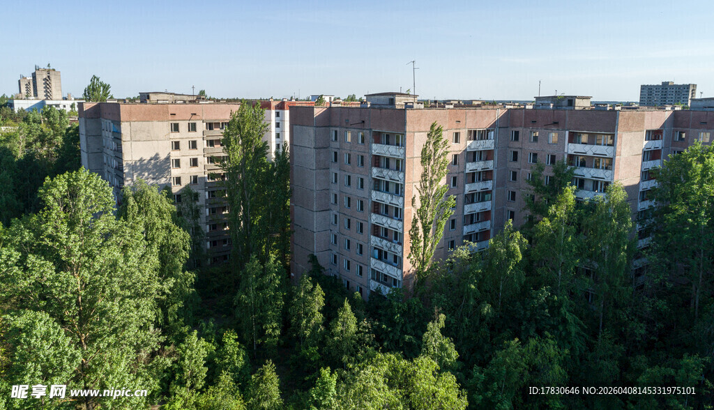 绿树环绕中的居民楼