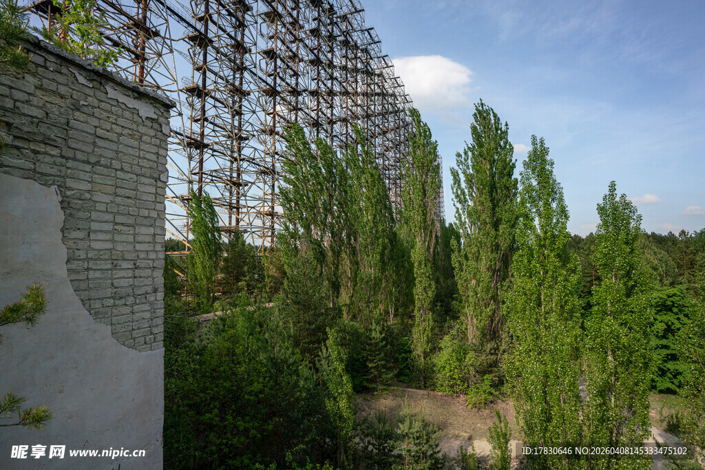 废弃建筑旁的葱郁绿树