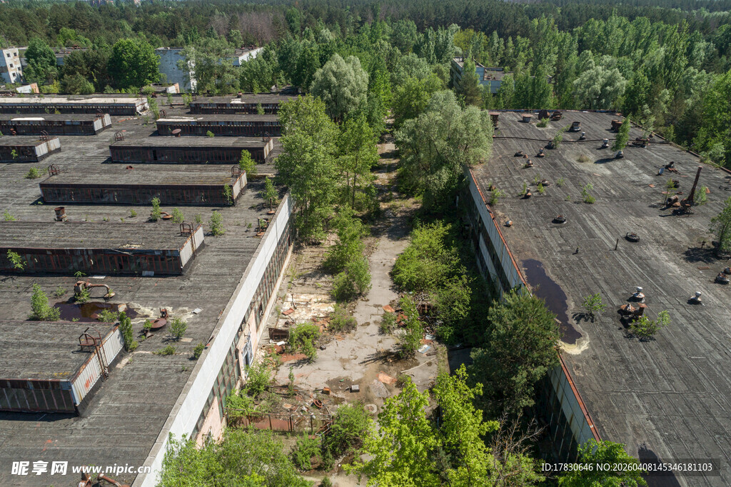 废弃建筑群的自然景象