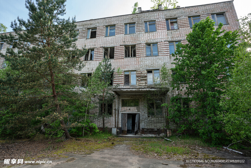 废弃楼房隐于葱郁树林间