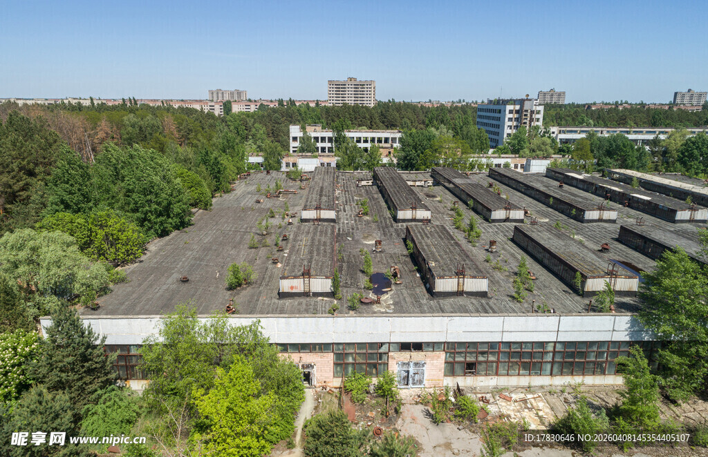 屋顶视角下的建筑与绿植景观
