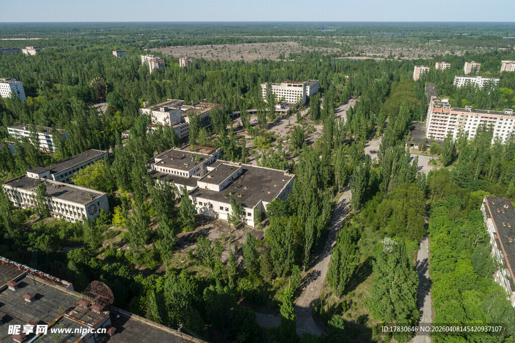 森林环绕的城镇景观