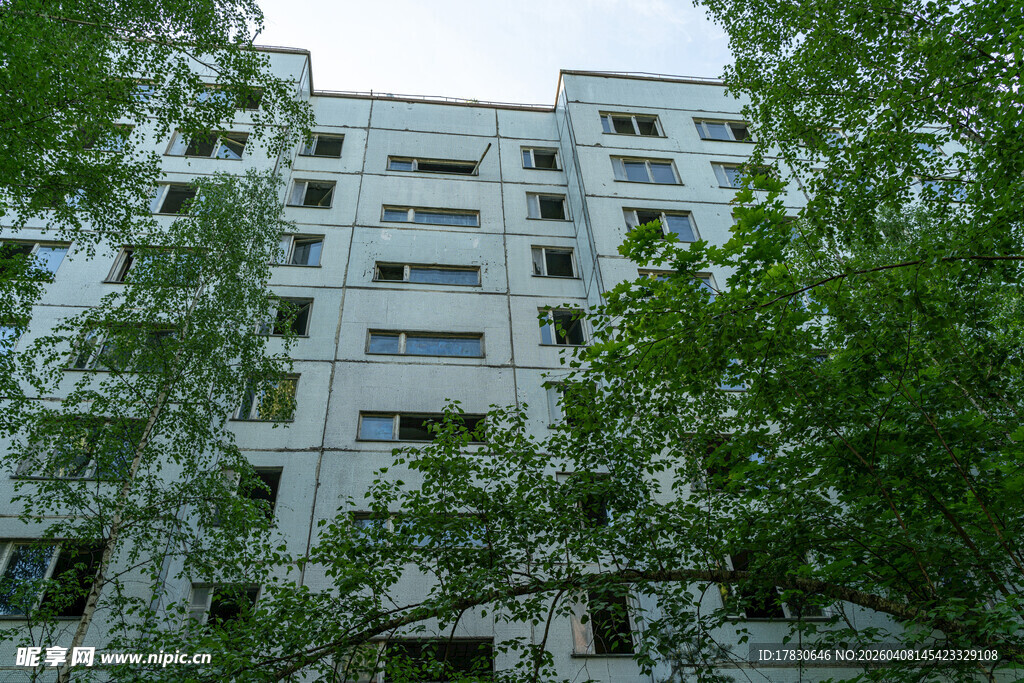 绿树环绕的多层居民楼