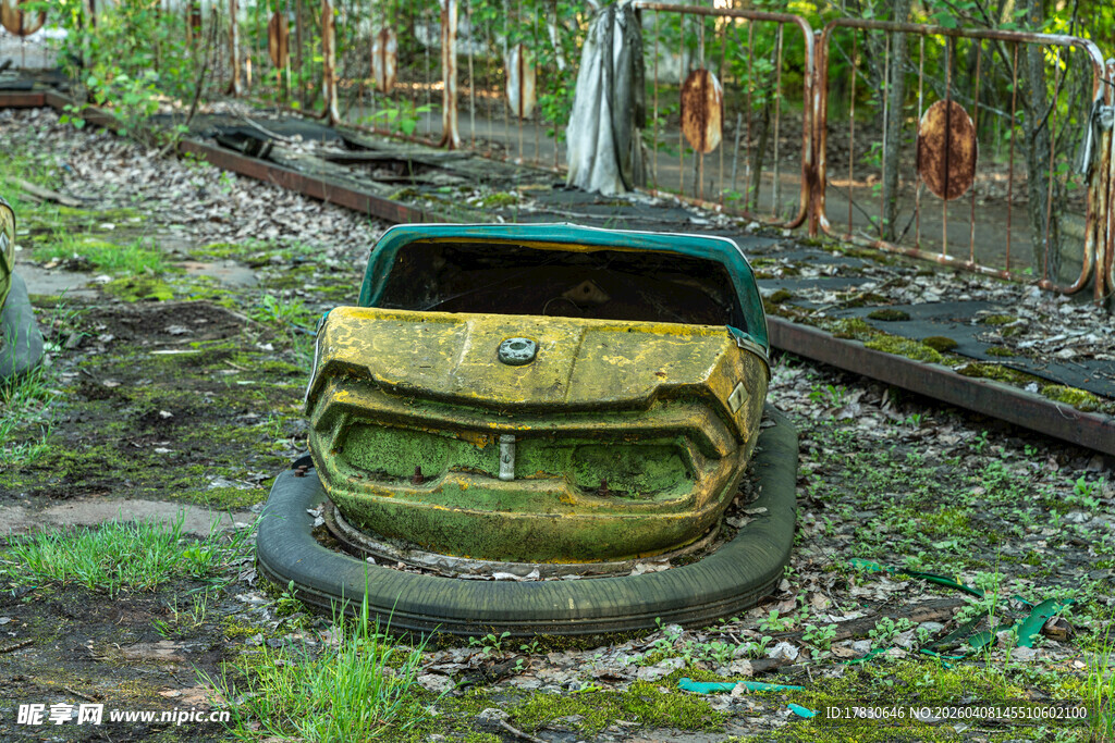 废弃丛林中的破旧汽车