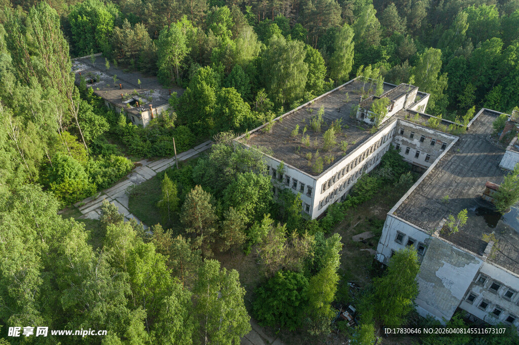 废弃建筑隐于葱郁森林中