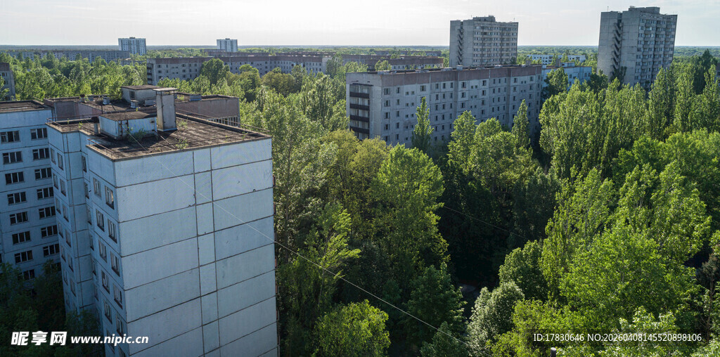 城市中林立于绿树间的高楼