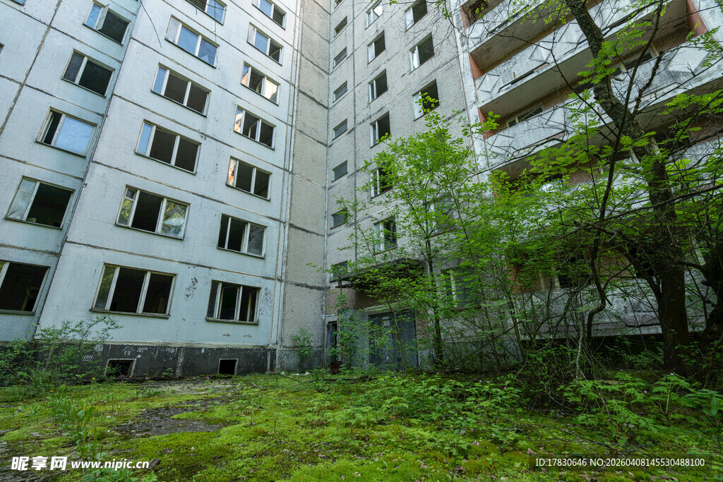 废弃楼房中的绿植景观