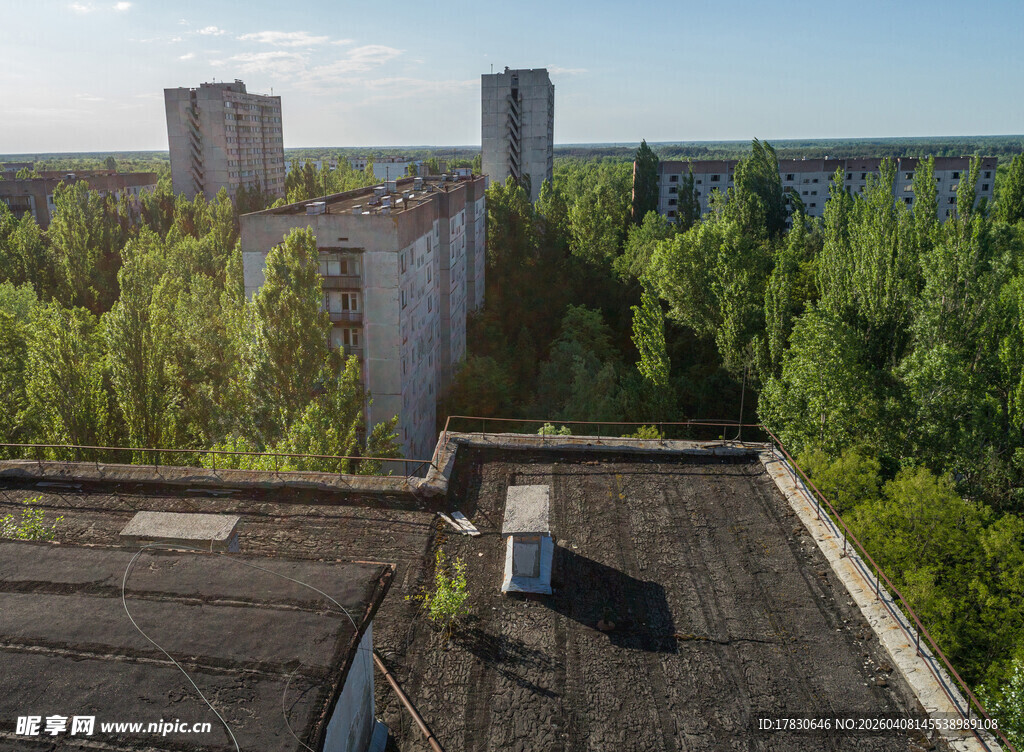 城市中废弃建筑与葱郁树林