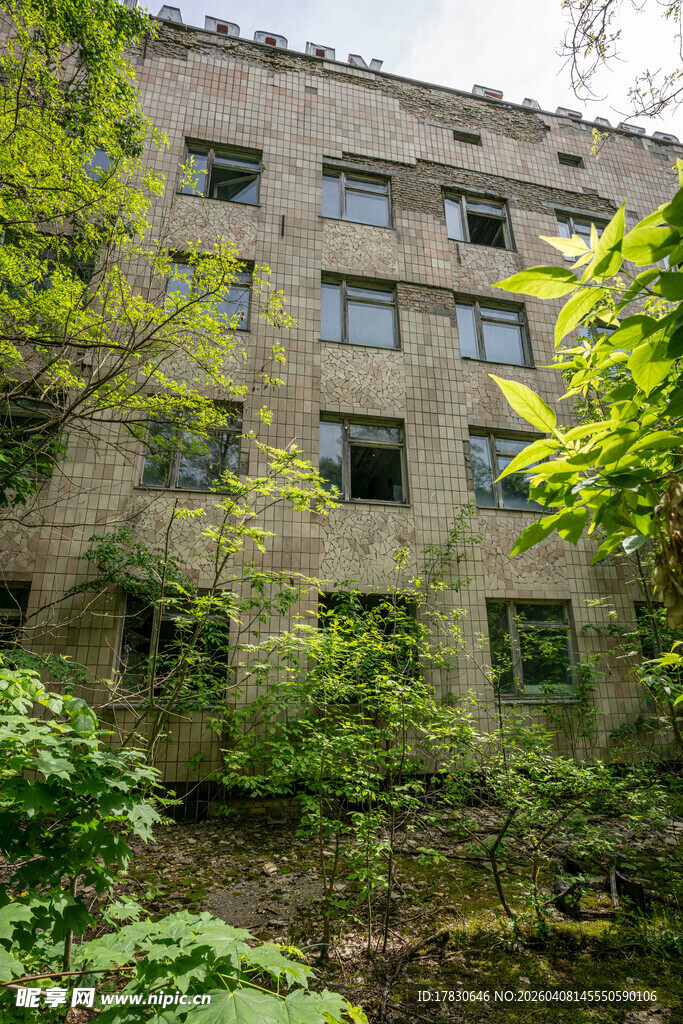 废弃建筑被绿植环绕