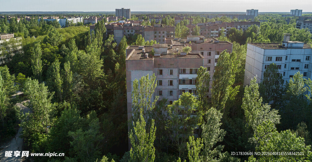 绿树环绕的居民建筑群