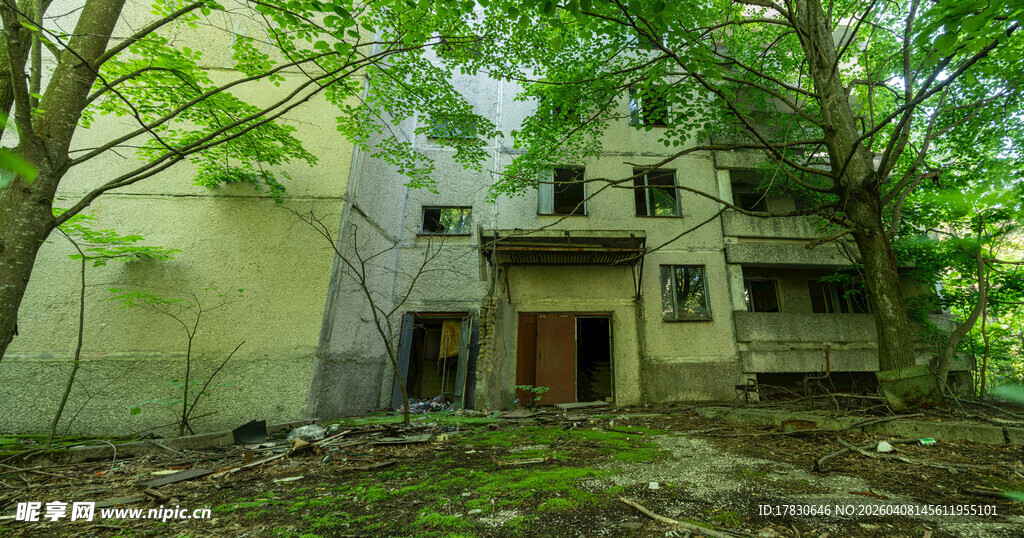 废弃的林间老旧房屋