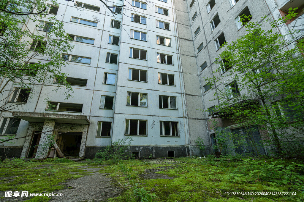 废弃公寓楼绿植环绕景象