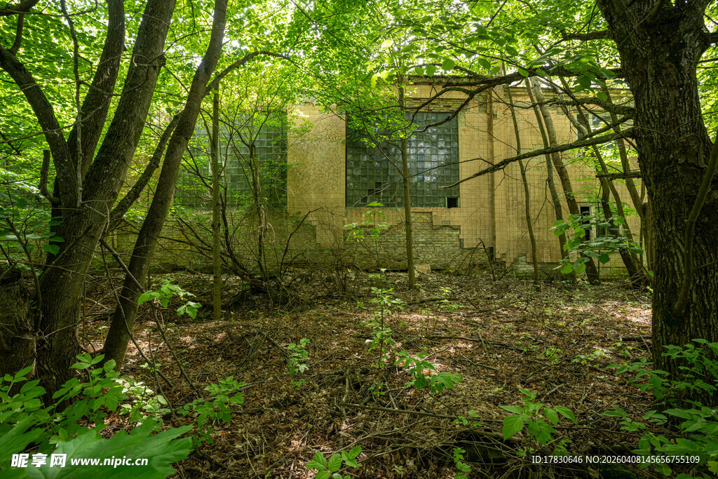 丛林中荒废的神秘小屋