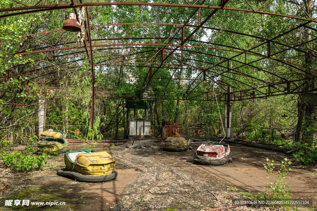废弃丛林中的老旧游乐设施