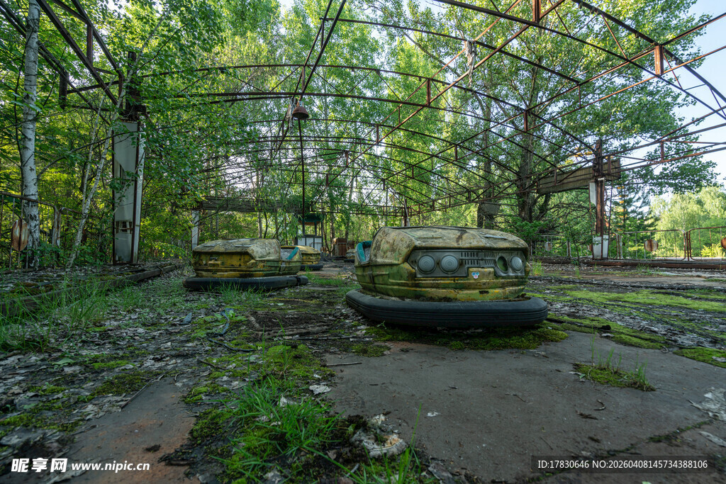 废弃丛林中的破旧车辆