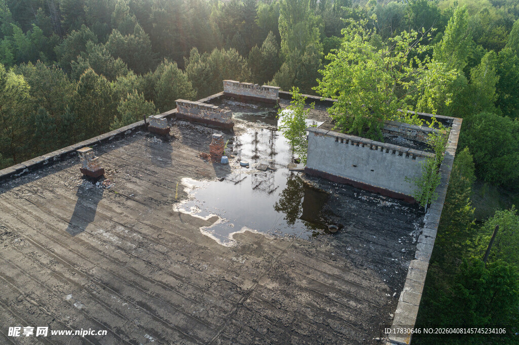 废弃屋顶上的积水与绿植