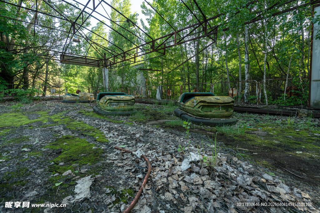 废弃林间建筑遗迹