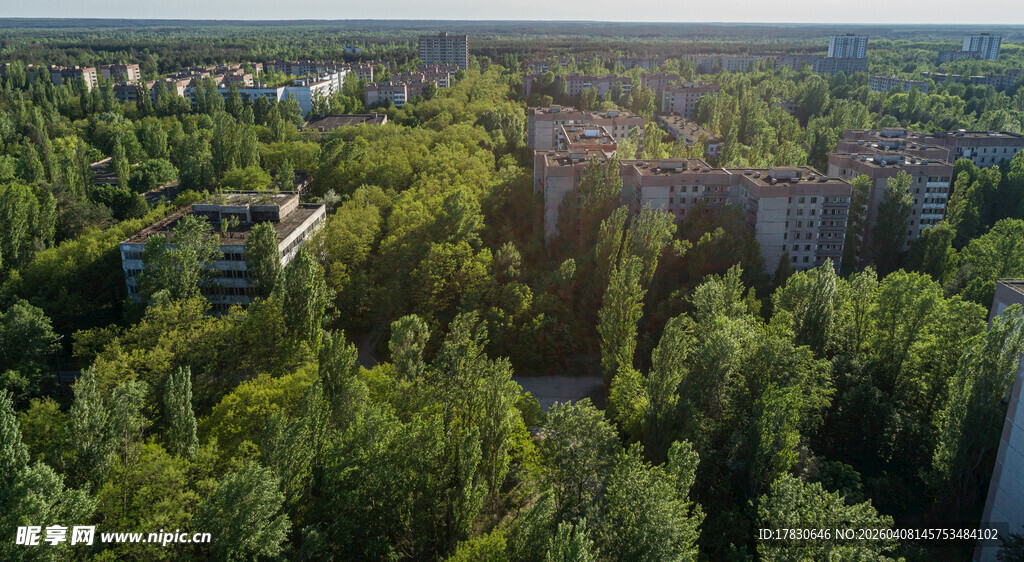 俯瞰葱郁森林与远处建筑