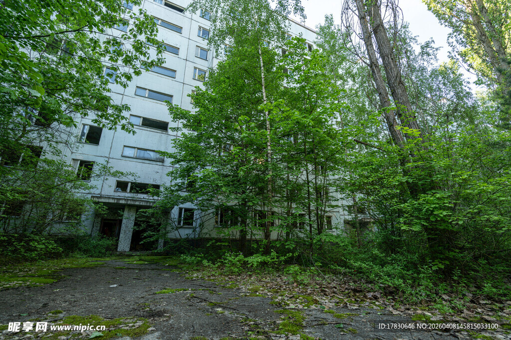 废弃建筑隐于葱郁树林