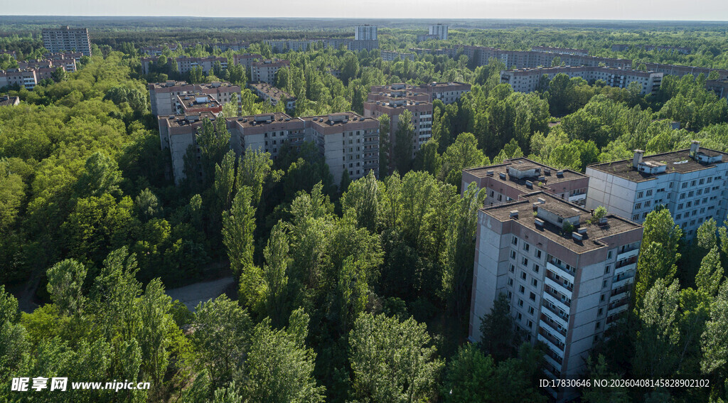 森林中的居民楼