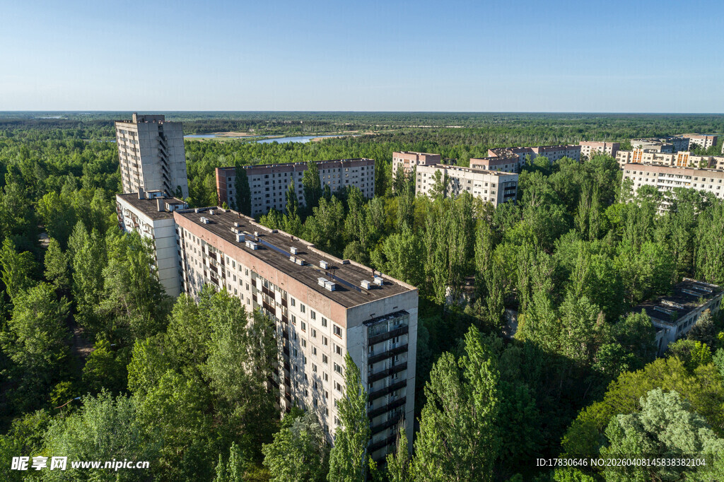 森林中的多层居民建筑群