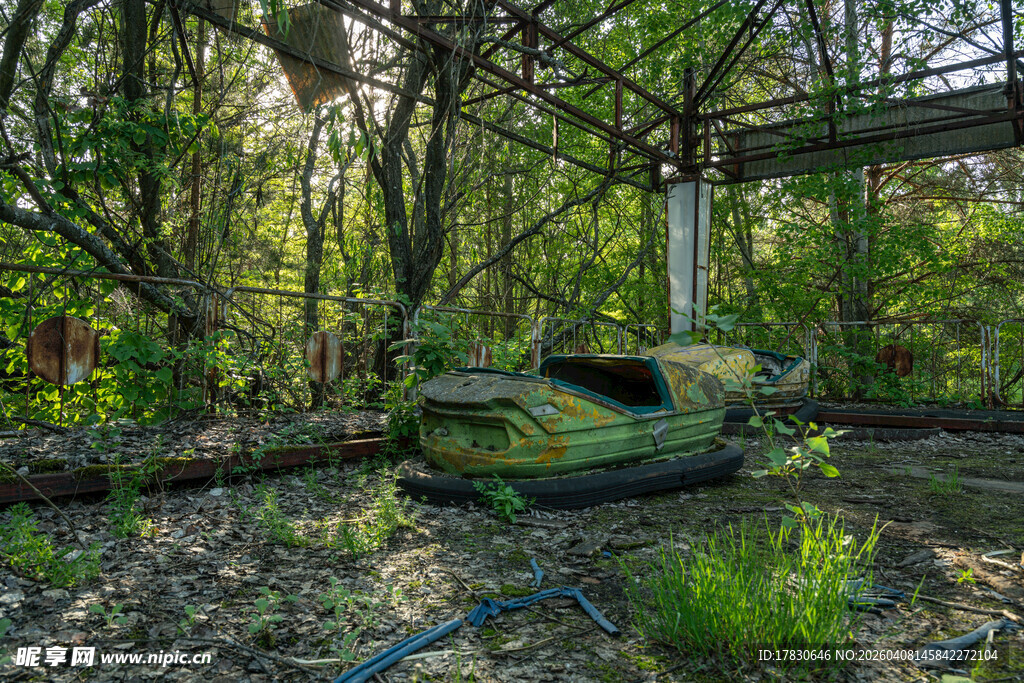 废弃林间的老旧小船