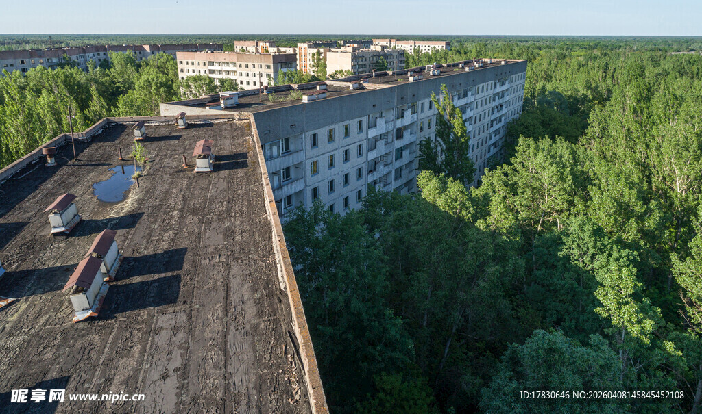 废弃楼房被绿树环绕