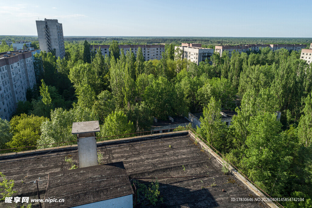屋顶视角下的绿树与建筑