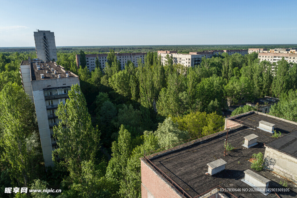 城市中葱郁树林与建筑景观