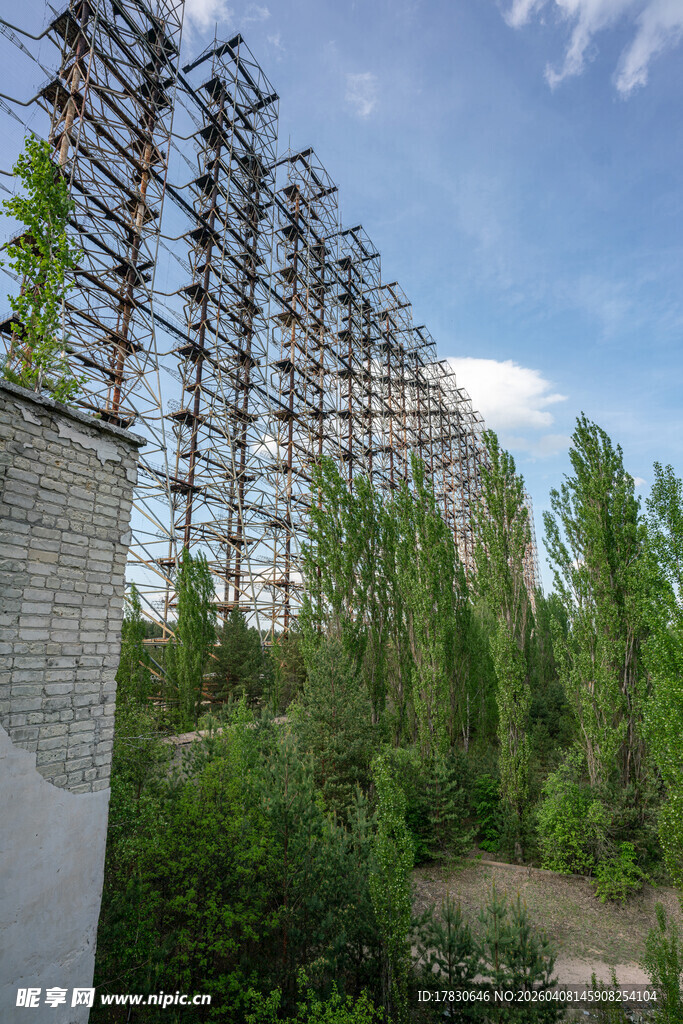 废弃建筑旁的葱郁绿树