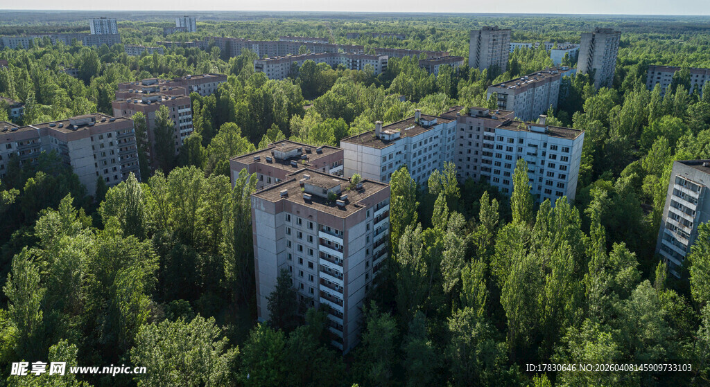 森林环绕的城市建筑群