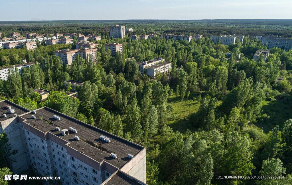 城市与森林交融的景观