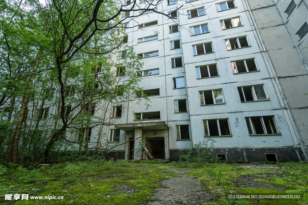 废弃公寓楼绿植环绕