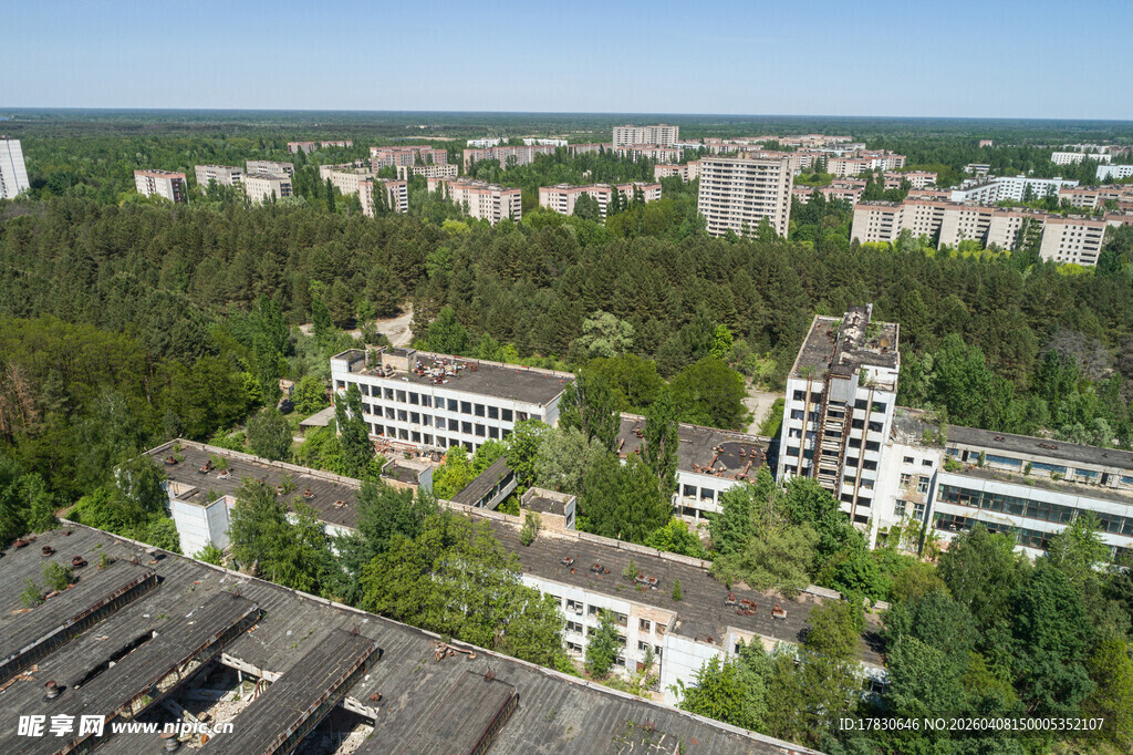 绿树环绕中的建筑群