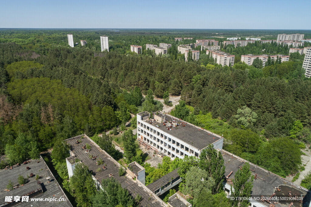 森林环绕的建筑群